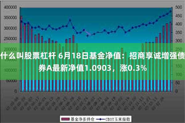 什么叫股票杠杆 6月18日基金净值：招商享诚增强债券A最新净值1.0903，涨0.3%