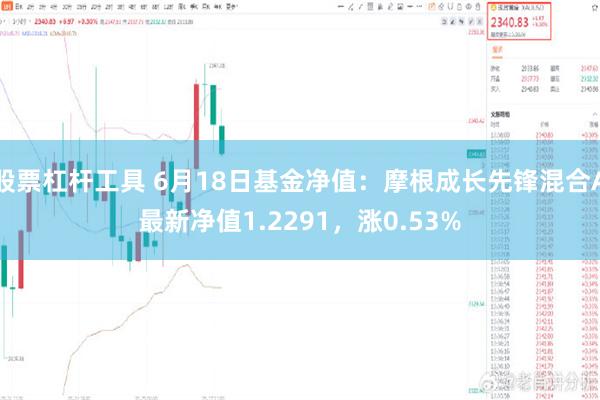 股票杠杆工具 6月18日基金净值：摩根成长先锋混合A最新净值1.2291，涨0.53%