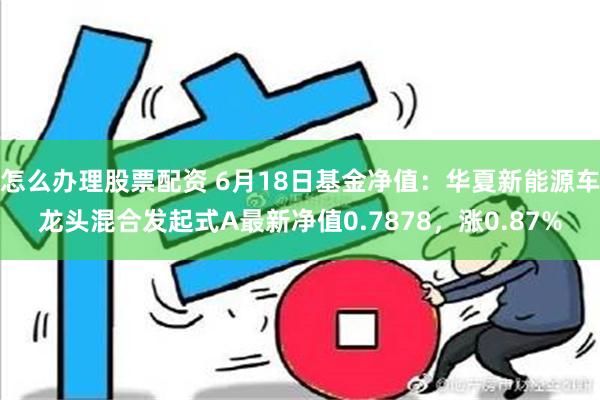 怎么办理股票配资 6月18日基金净值：华夏新能源车龙头混合发起式A最新净值0.7878，涨0.87%