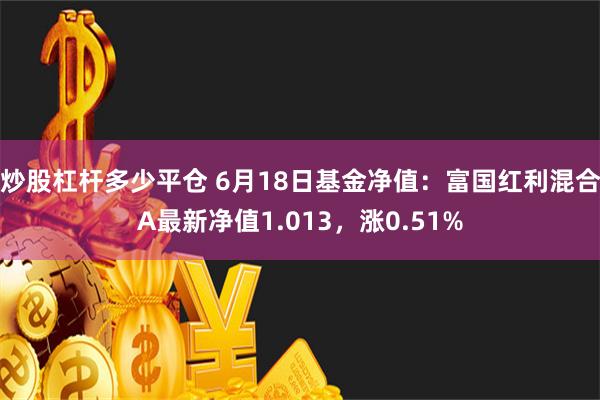 炒股杠杆多少平仓 6月18日基金净值：富国红利混合A最新净值1.013，涨0.51%