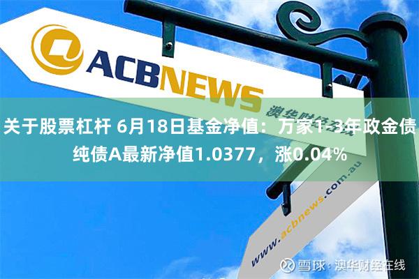 关于股票杠杆 6月18日基金净值：万家1-3年政金债纯债A最新净值1.0377，涨0.04%