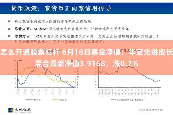 怎么开通股票杠杆 6月18日基金净值：华宝先进成长混合最新净值3.9168，涨0.7%