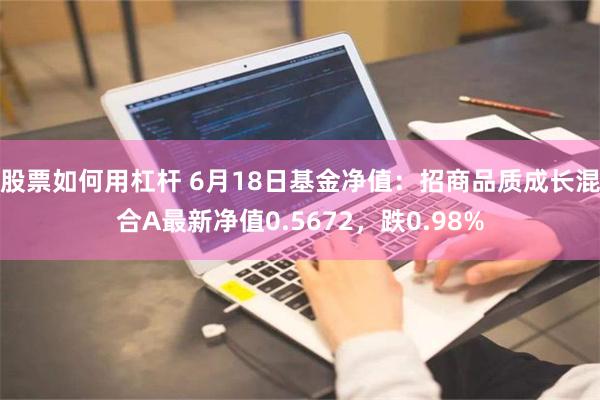 股票如何用杠杆 6月18日基金净值：招商品质成长混合A最新净值0.5672，跌0.98%