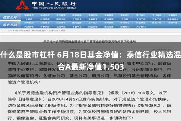 什么是股市杠杆 6月18日基金净值：泰信行业精选混合A最新净值1.503