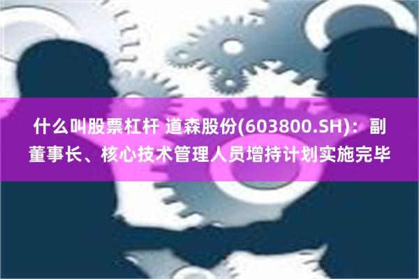 什么叫股票杠杆 道森股份(603800.SH)：副董事长、核心技术管理人员增持计划实施完毕