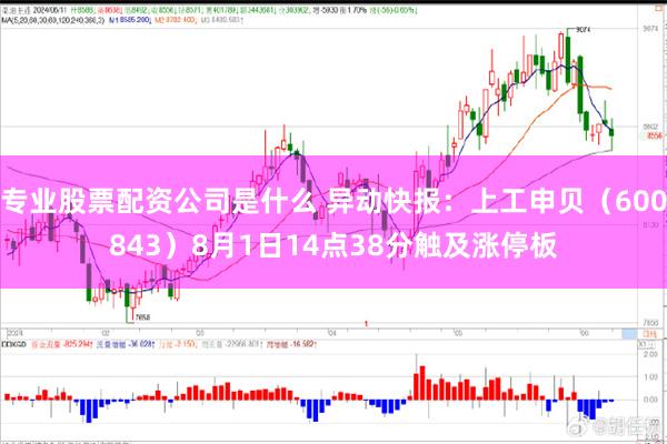 专业股票配资公司是什么 异动快报：上工申贝（600843）8月1日14点38分触及涨停板