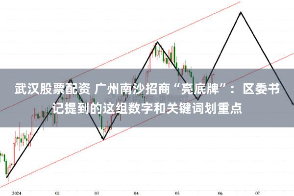 武汉股票配资 广州南沙招商“亮底牌”：区委书记提到的这组数字和关键词划重点