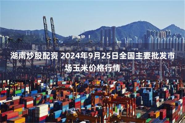 湖南炒股配资 2024年9月25日全国主要批发市场玉米价格行情