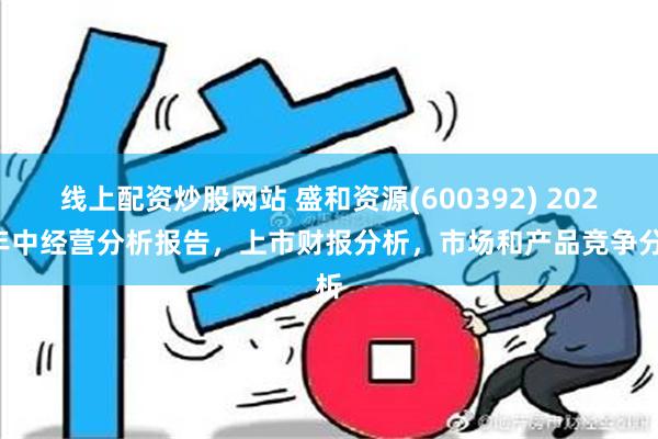 线上配资炒股网站 盛和资源(600392) 2024年中经营分析报告，上市财报分析，市场和产品竞争分析