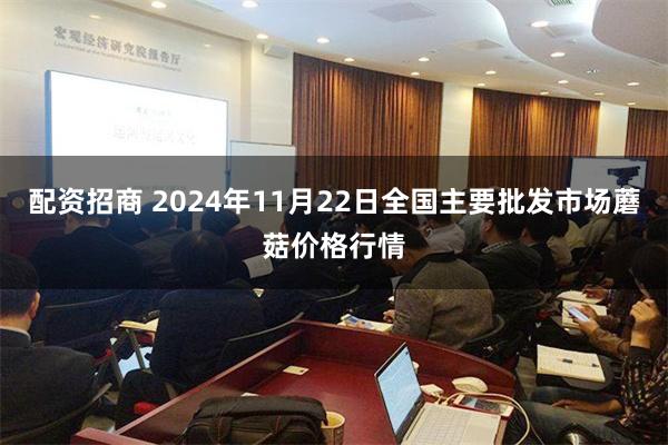 配资招商 2024年11月22日全国主要批发市场蘑菇价格行情