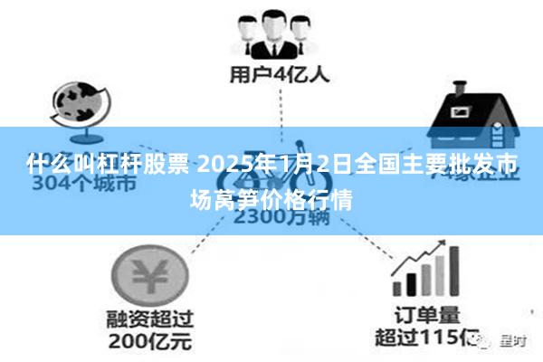 什么叫杠杆股票 2025年1月2日全国主要批发市场莴笋价格行情