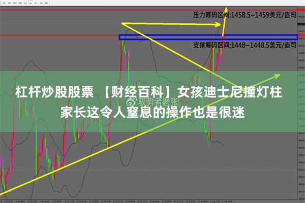 杠杆炒股股票 【财经百科】女孩迪士尼撞灯柱  家长这令人窒息的操作也是很迷