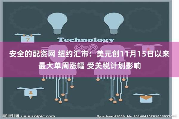 安全的配资网 纽约汇市：美元创11月15日以来最大单周涨幅 受关税计划影响