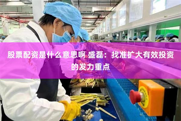 股票配资是什么意思啊 盛磊：找准扩大有效投资的发力重点